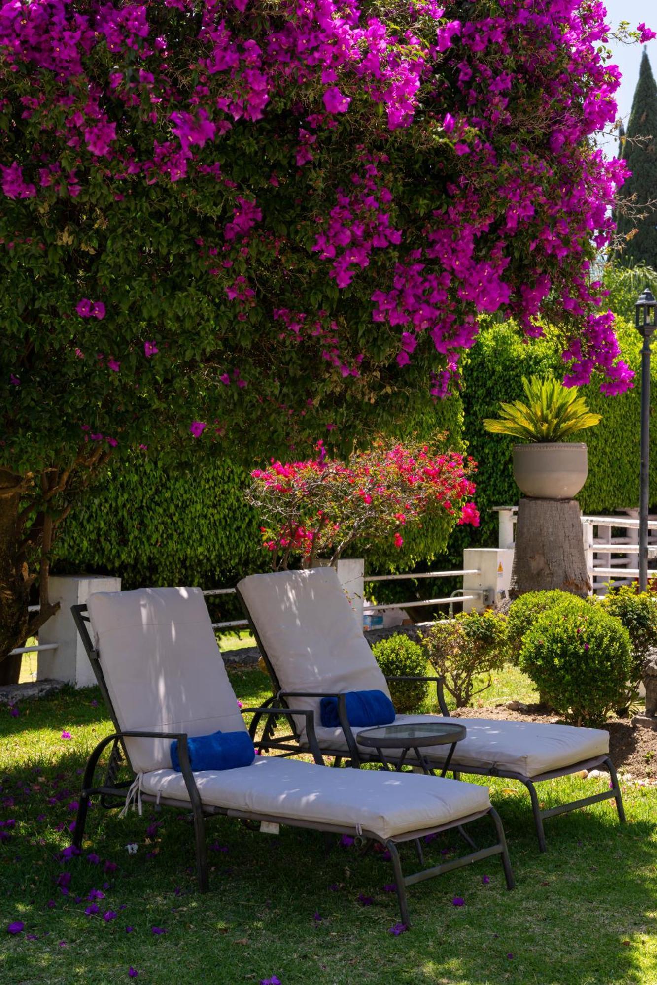 Río Tinto Hotel Boutique Atlixco Extérieur photo